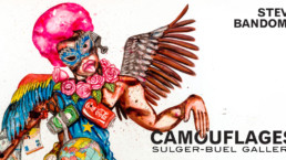 Camouflages _ catalogue d'exposition _ Sulger-Buel Gallery, 2020_Couverture_Angalia