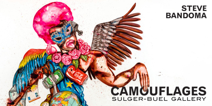 Camouflages _ catalogue d'exposition _ Sulger-Buel Gallery, 2020_Couverture_Angalia