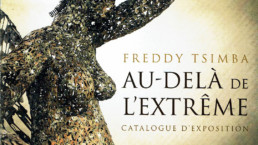 Freddy Tsimba - Au-delà de l'extrême_Institut français de RDC_Publications_couverture