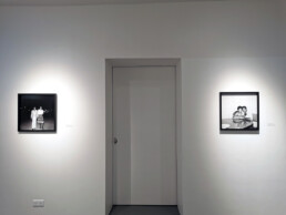 Vue exposition Les héritiers_6