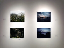 Vue exposition Hugh Kinsella Cunningham 2026