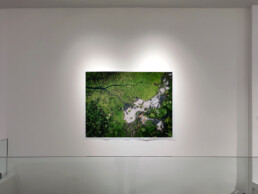 Vue exposition Hugh Kinsella Cunningham 2026