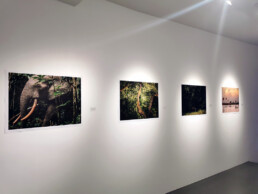 Vue exposition Hugh Kinsella Cunningham 2026